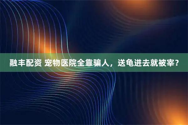 融丰配资 宠物医院全靠骗人，送龟进去就被宰？