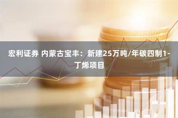 宏利证券 内蒙古宝丰：新建25万吨/年碳四制1-丁烯项目