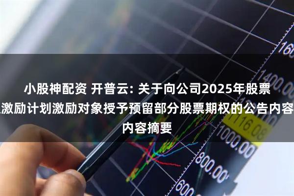 小股神配资 开普云: 关于向公司2025年股票期权激励计划激励对象授予预留部分股票期权的公告内容摘要
